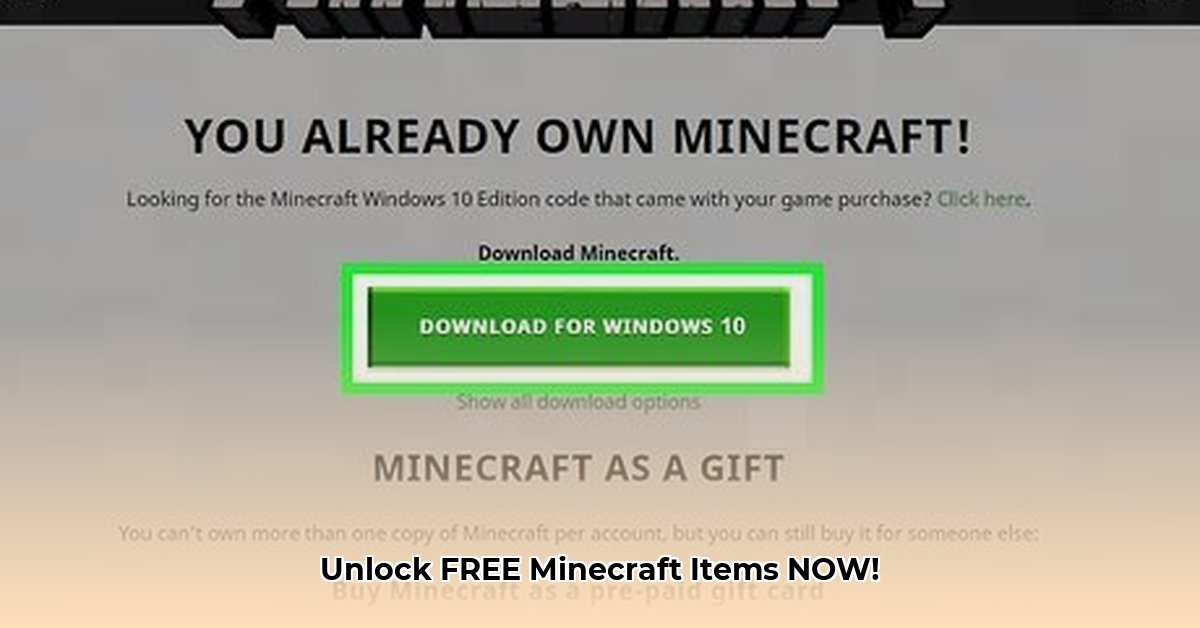 minecraft-download-code
